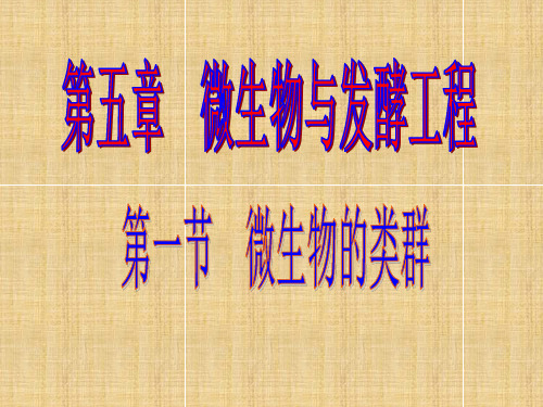 人教版高中生物选修微生物的类群名师精编课件2