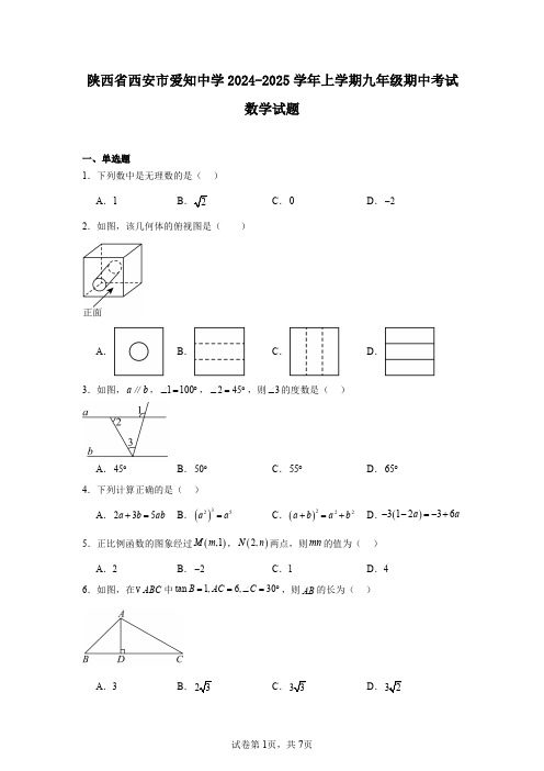 陕西省西安市爱知中学2024-2025学年上学期九年级期中考试数学试题