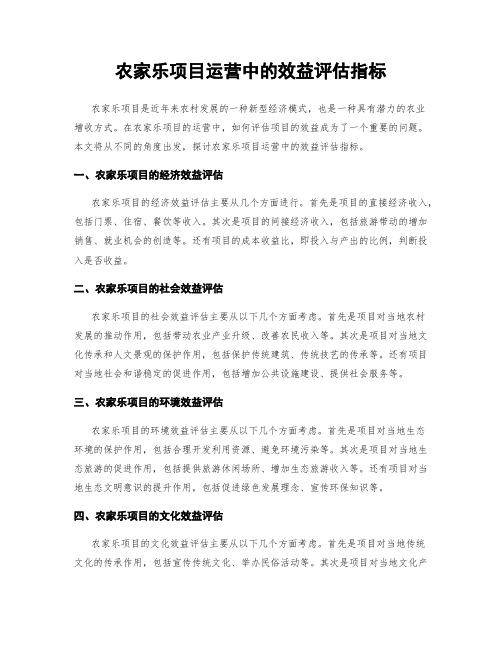 农家乐项目运营中的效益评估指标