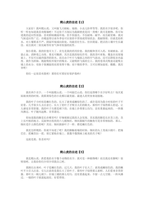 爬山虎的自述作文