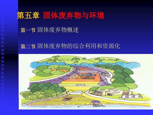 环境学精品课固体废物(PPT44页)