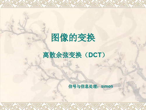 图像变换_DCT