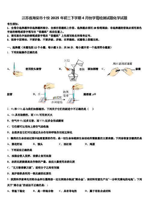 江苏省海安市十校2025年初三下学期4月份学情检测试题化学试题含解析