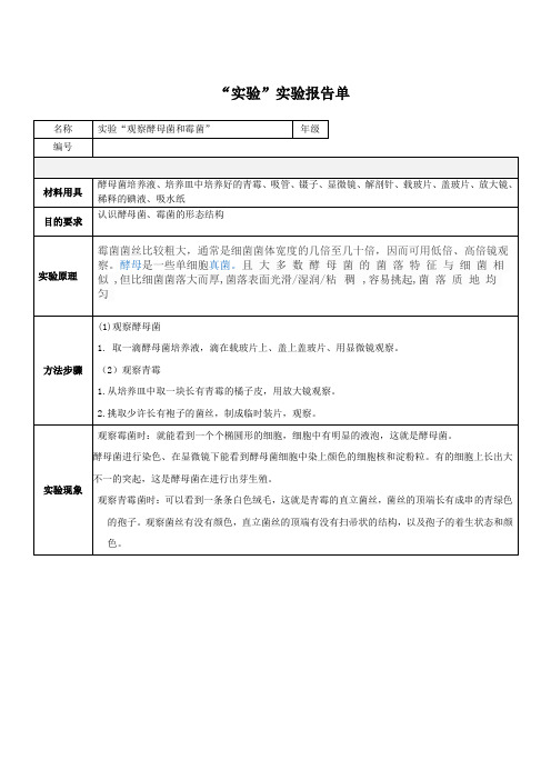 观察酵母菌和霉菌的实验报告单