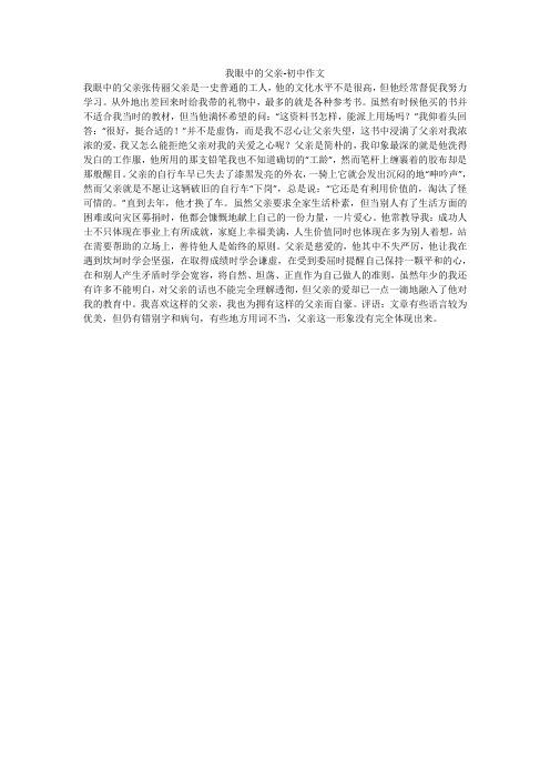 我眼中的父亲-初中作文