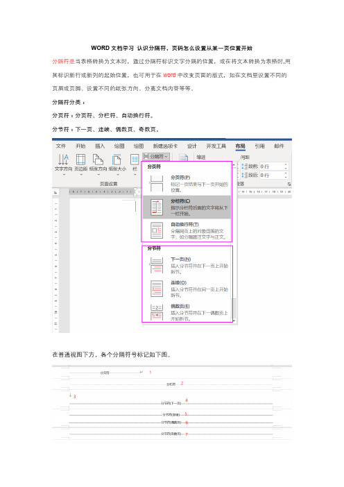 WORD文档学习 认识分隔符,页码怎么设置从某一页位置开始