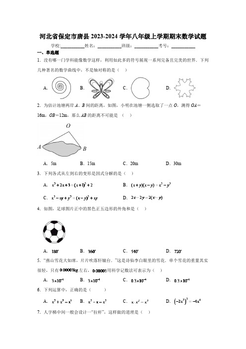 河北省保定市唐县2023-2024学年八年级上学期期末考试数学试卷(含解析)