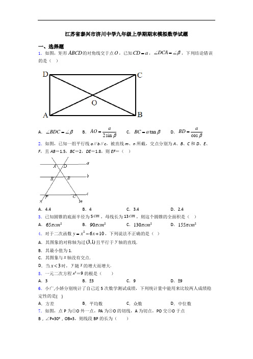 江苏省泰兴市济川中学九年级上学期期末模拟数学试题