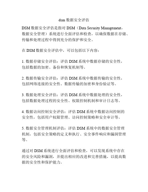 dsm 数据安全评估