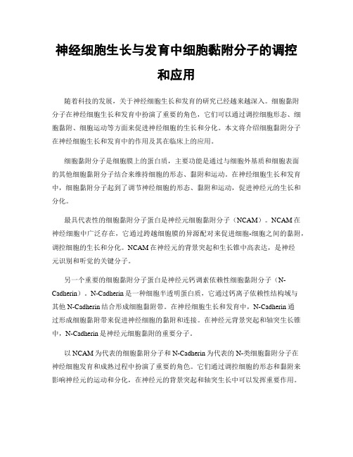 神经细胞生长与发育中细胞黏附分子的调控和应用