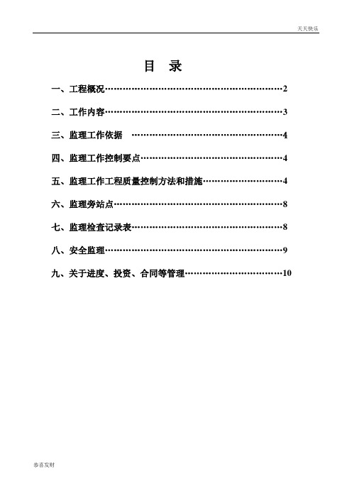 修订版拉森钢板桩支护工程监理细则-精选版