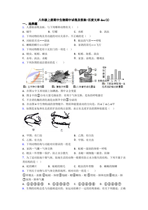 八年级上册期中生物期中试卷及答案-百度文库doc(1)