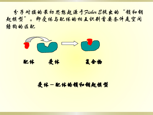 分子对接