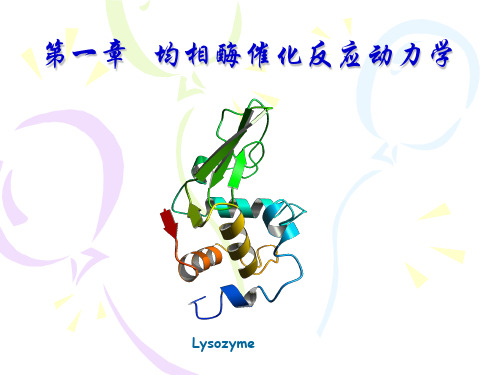 第一章酶促反应动力学