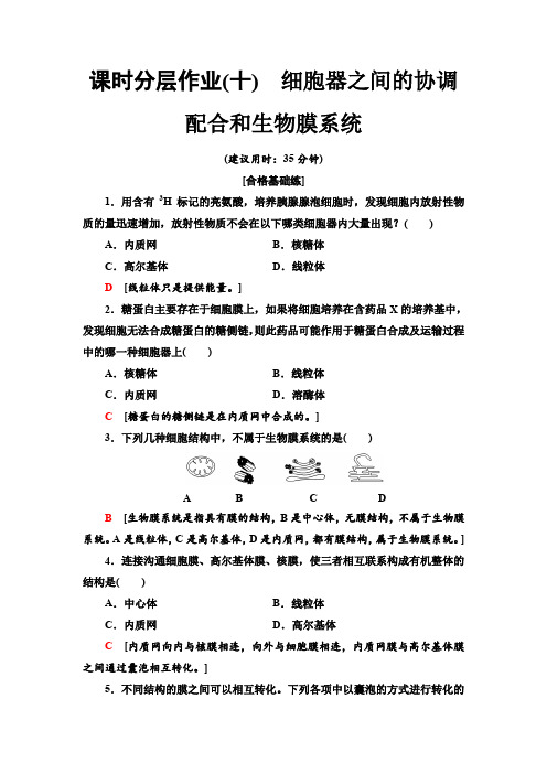 2019-2020新人教版生物必修1 课时分层作业10 细胞器之间的协调配合和生物膜系统