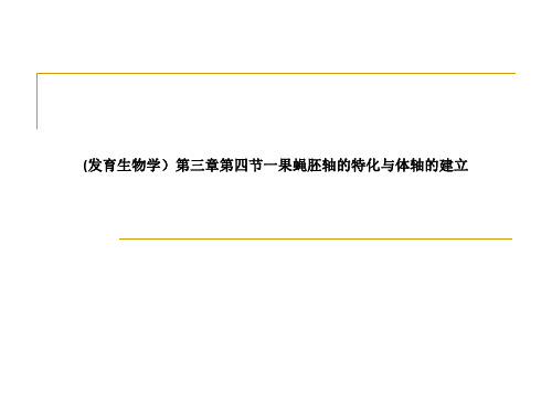 (发育生物学)第三章第四节一果蝇胚轴的特化与体轴的建立