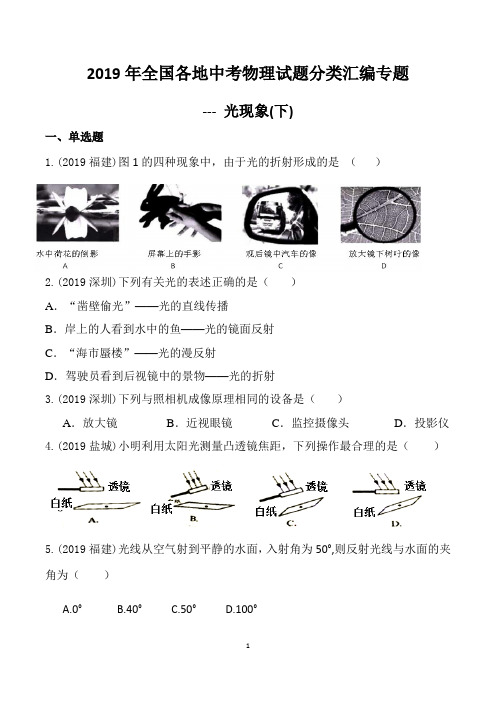 2019年全国各地中考物理试题分类汇编专题光现象(下)及答案