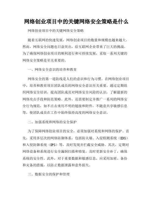 网络创业项目中的关键网络安全策略是什么