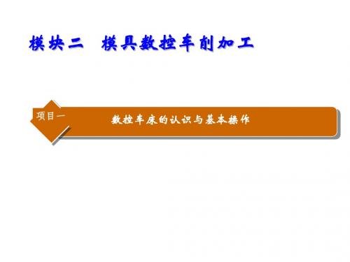 模具数控加工技术模块二   模具数控车削加工 (5)