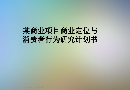 某商业项目商业定位与消费者行为研究计划书