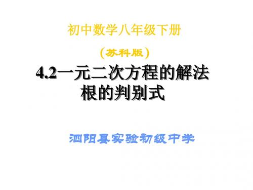 九年级数学一元二次方程的解法根的判别式