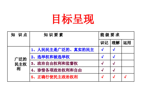 广泛的民主权利