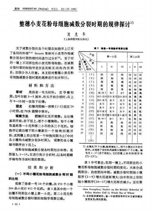 整穗小麦花粉母细胞减数分裂时期的规律探讨1)