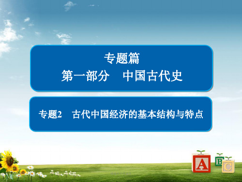 精选-高考历史二轮复习第一部分中国古代史专题2古代中国经济的基本结构与特点课件