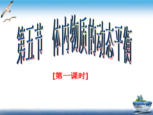 浙教版九上科学4.5体内物质的动态平衡课件