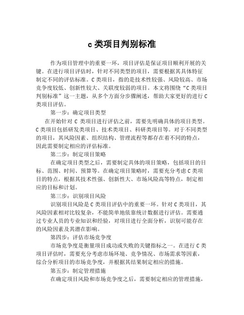 c类项目判别标准