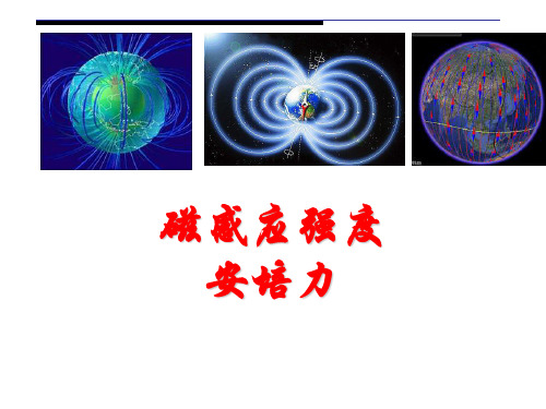 磁感应强度和安培力