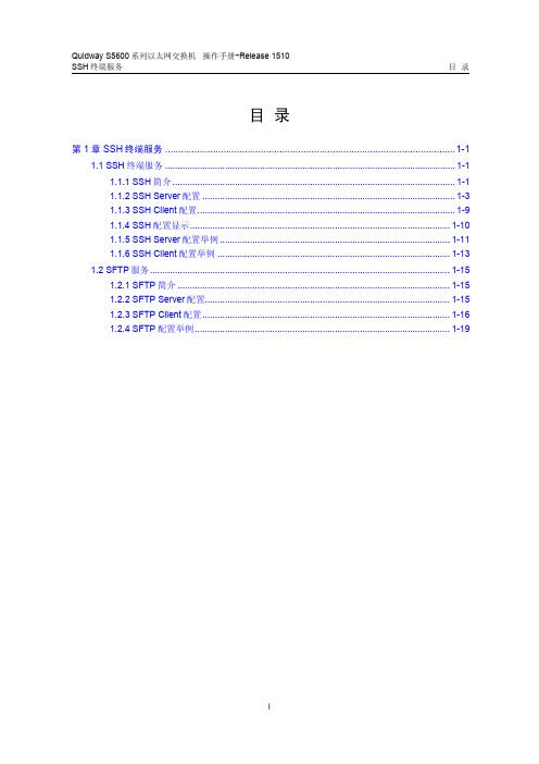 s5600操作手册-Release 1510(V1.00)34-SSH终端服务操作