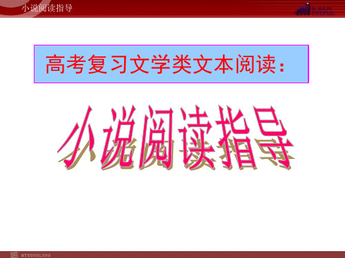 2020届高考语文二轮复习课件 小说阅读指导阅读指导删减版文库素材