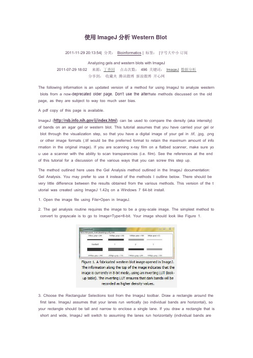 使用ImageJ分析Western Blot   Imagej 使用