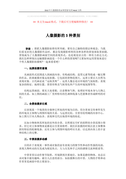 2018年人像摄影的5种景别-实用word文档 (2页)