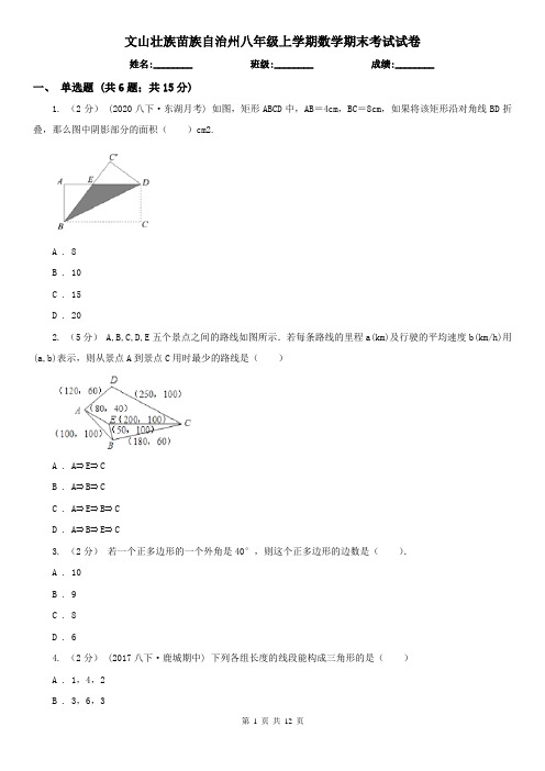 文山壮族苗族自治州八年级上学期数学期末考试试卷