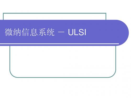 微纳信息系统(ULSI,NoC,SoC)的发展现状