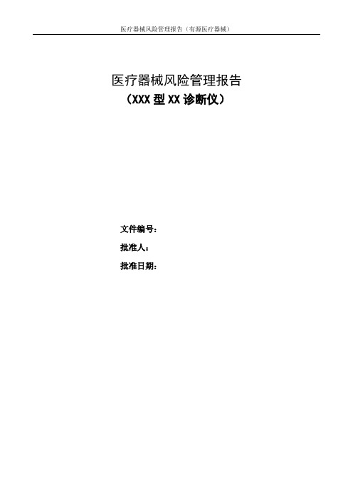 安全风险管理报告模板