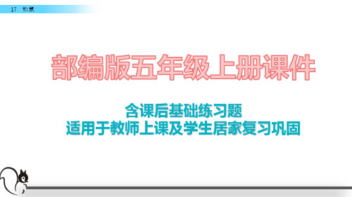 2020最新部编版语文五年级上册17 松鼠课件含课后练习