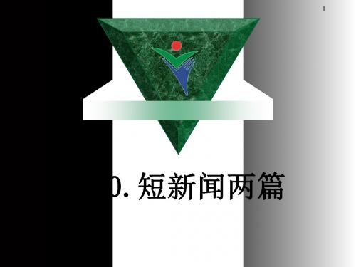 短新闻两篇ppt17 人教课标版