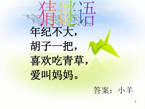 《剪羊毛》课件