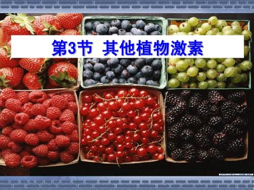 其他植物激素