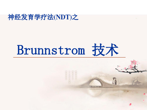 Brunnstrom技术