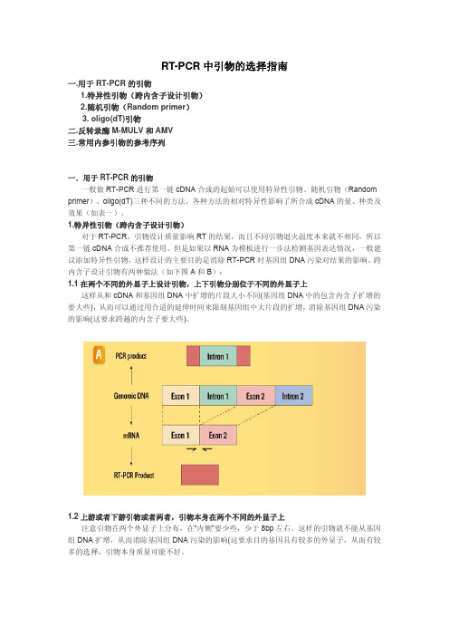 RT-PCR中引物的选择指南