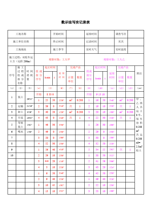 数示法写实记录表