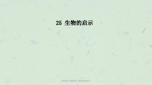 青岛版六年级科学上册生物的启示课件