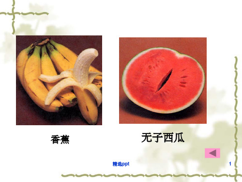 人教版高中生物必修二第五章第二节染色体变异课件