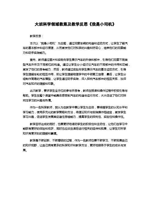 大班科学领域教案及教学反思《我是小司机》