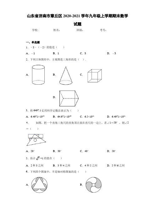 山东省济南市章丘区2020-2021学年九年级上学期期末数学试题