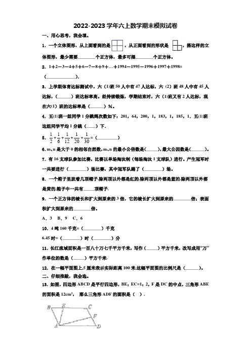 2022-2023学年北京市密云县小学数学六上期末质量检测试题含解析